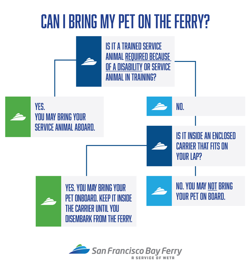 San Francisco Bay Ferry Pet Policy Flowchart